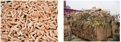 Plant-based fibers, wood pellets, plants, organic trash and more.